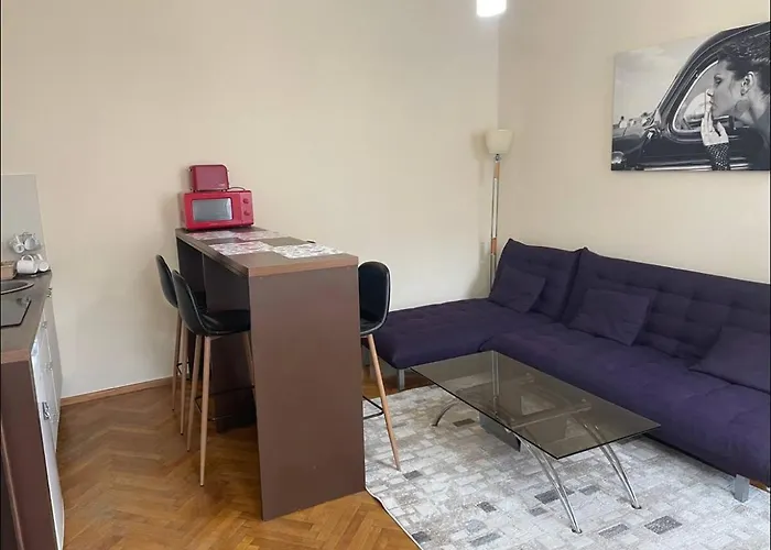 Old Town 公寓 布拉索夫